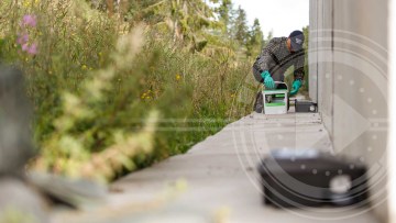 Selontra® - Fri for rotter og mus på ned til 7 dage*