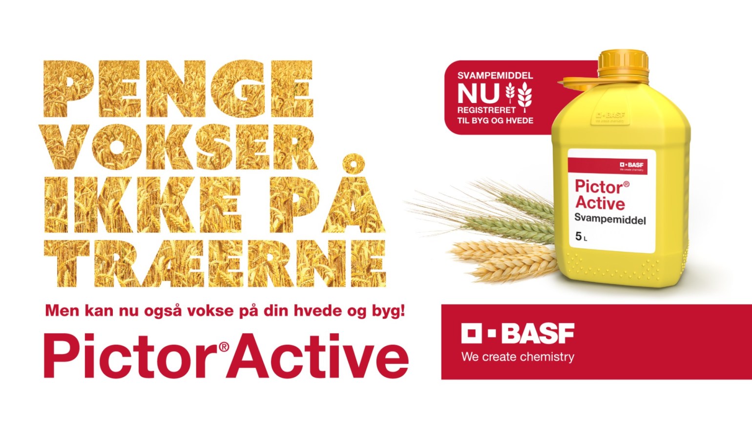 Pictor® Active er et nyt i byg og hvede der passer perfekt til behandling - BASF Agricultural Solutions Danmark